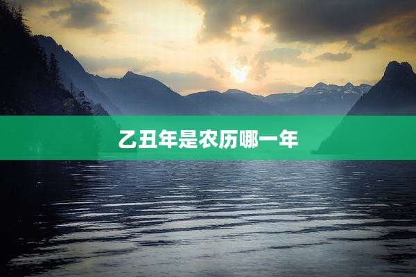 乙丑年是农历哪一年