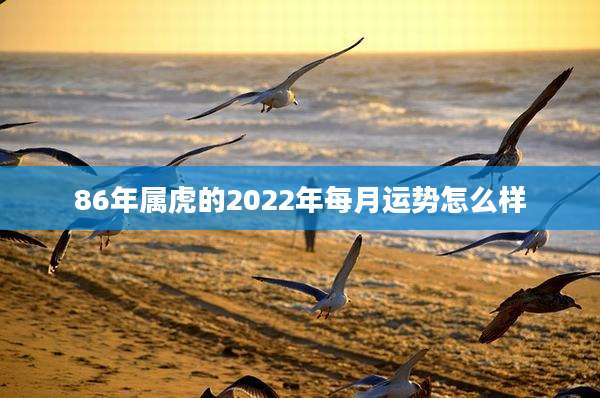 86年属虎的2022年每月运势怎么样