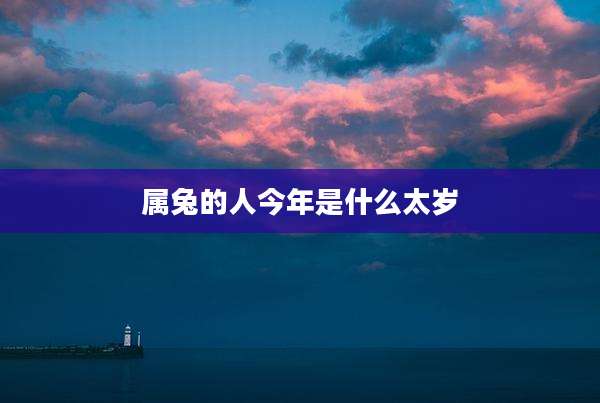 属兔的人今年是什么太岁