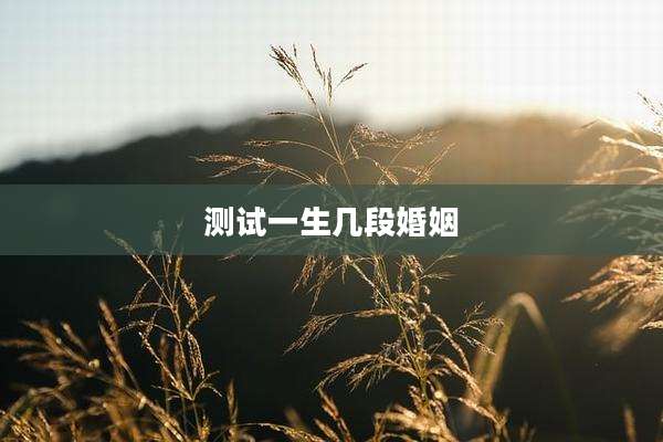 测试一生几段婚姻
