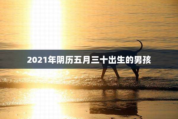 2021年阴历五月三十出生的男孩