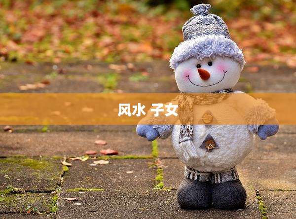 风水 子女