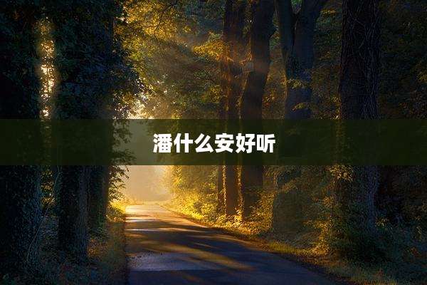 潘什么安好听