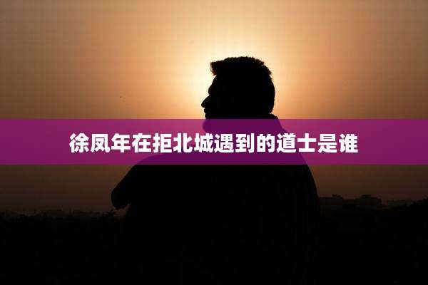 徐凤年在拒北城遇到的道士是谁