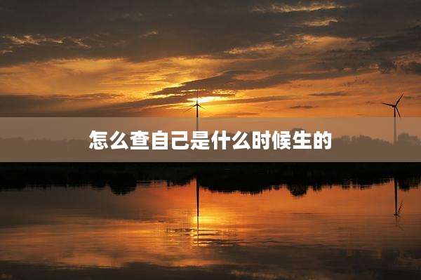 怎么查自己是什么时候生的