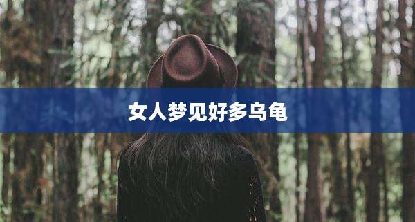 女人梦见好多乌龟