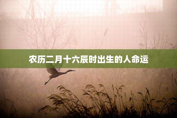 农历二月十六辰时出生的人命运