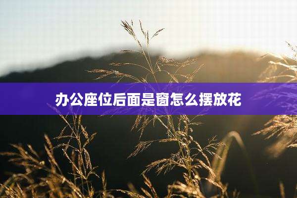 办公座位后面是窗怎么摆放花