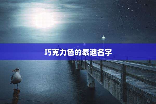 巧克力色的泰迪名字