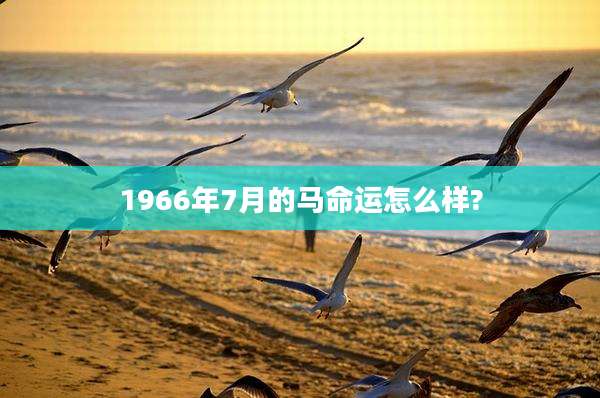 1966年7月的马命运怎么样?