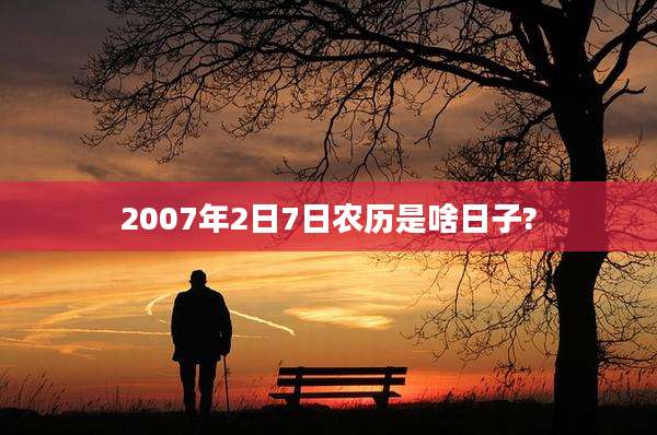 2007年2日7日农历是啥日子?