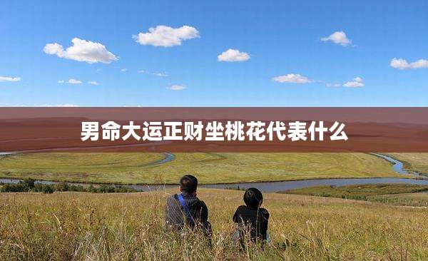 男命大运正财坐桃花代表什么