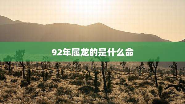 92年属龙的是什么命