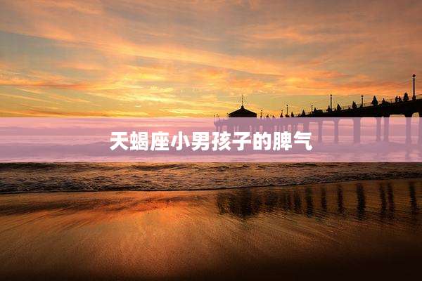 天蝎座小男孩子的脾气