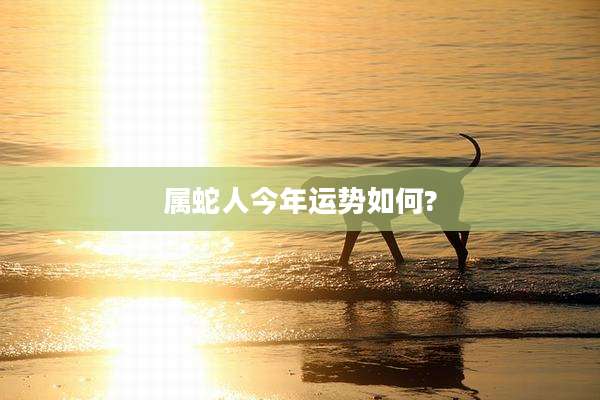 属蛇人今年运势如何?