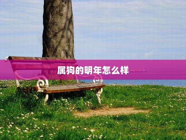 属狗的明年怎么样