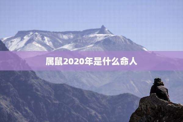 属鼠2020年是什么命人