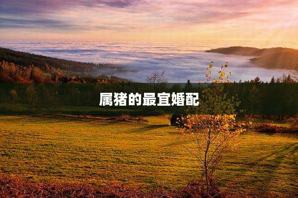 属猪的最宜婚配
