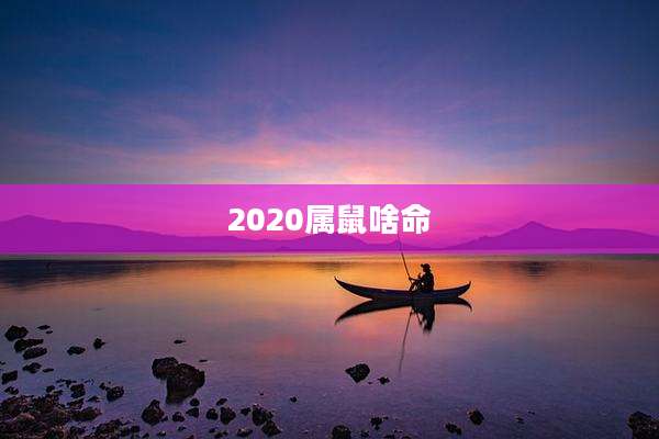 2020属鼠啥命