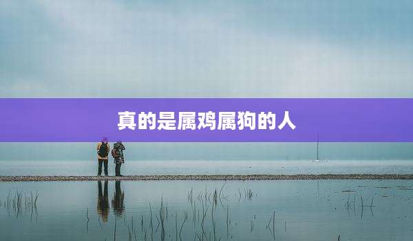 真的是属鸡属狗的人