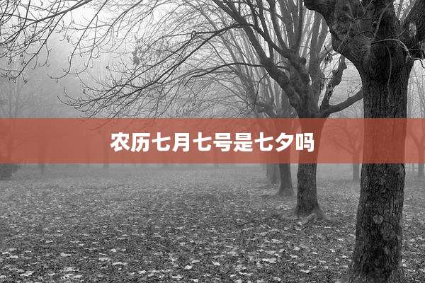 农历七月七号是七夕吗