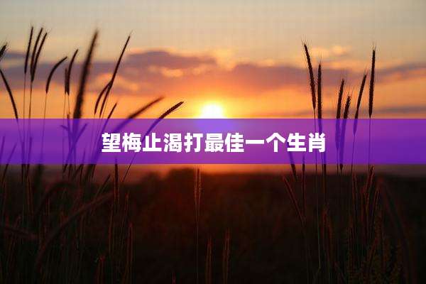 望梅止渴打最佳一个生肖