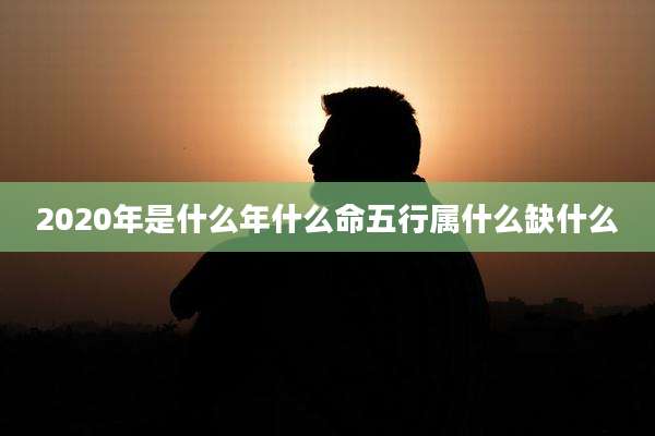 2020年是什么年什么命五行属什么缺什么