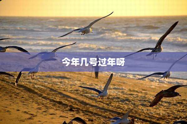 今年几号过年呀