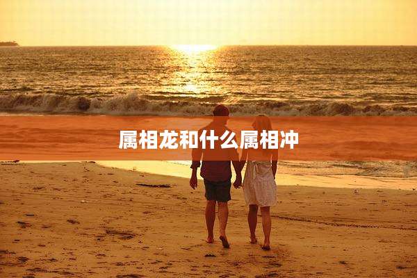 属相龙和什么属相冲