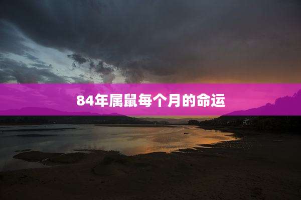 84年属鼠每个月的命运