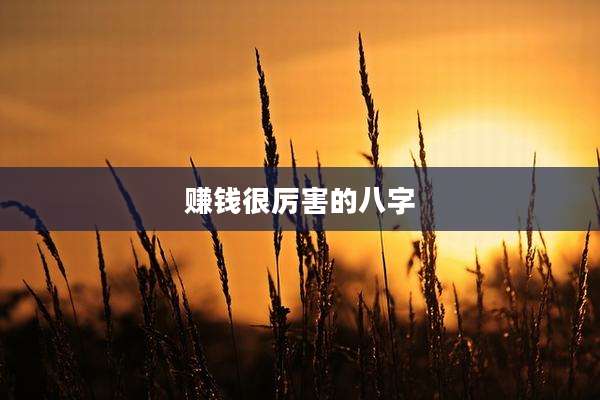 赚钱很厉害的八字