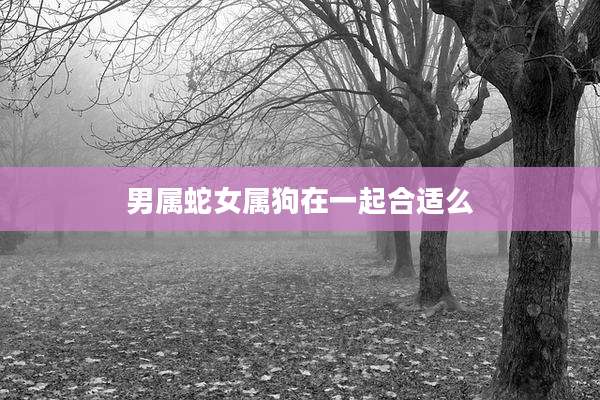 男属蛇女属狗在一起合适么
