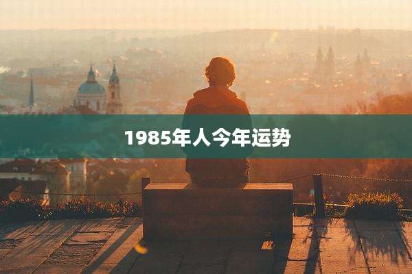 1985年人今年运势