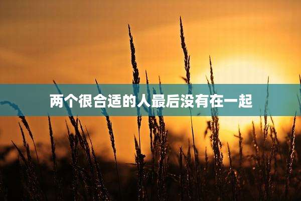 两个很合适的人最后没有在一起