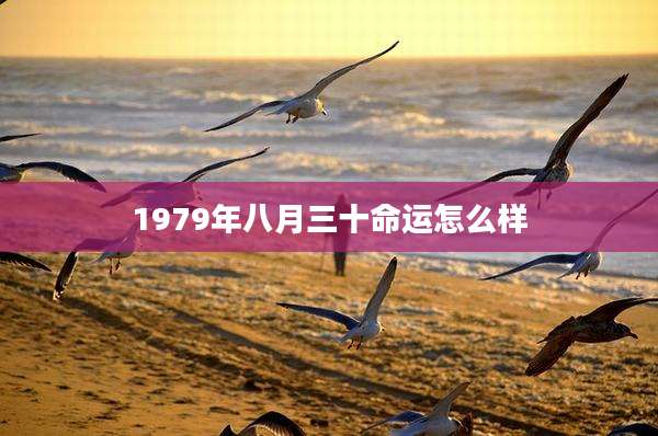 1979年八月三十命运怎么样