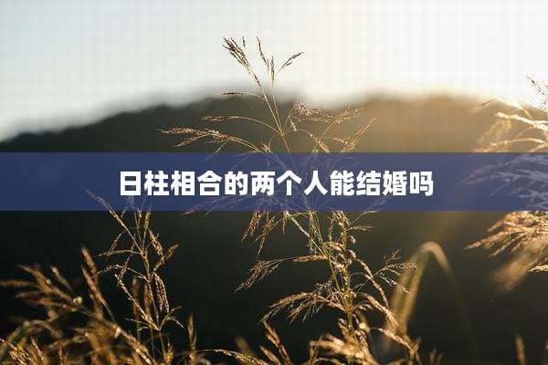 日柱相合的两个人能结婚吗