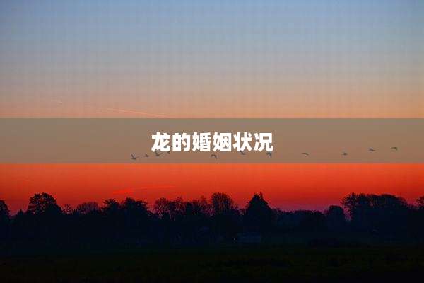 龙的婚姻状况