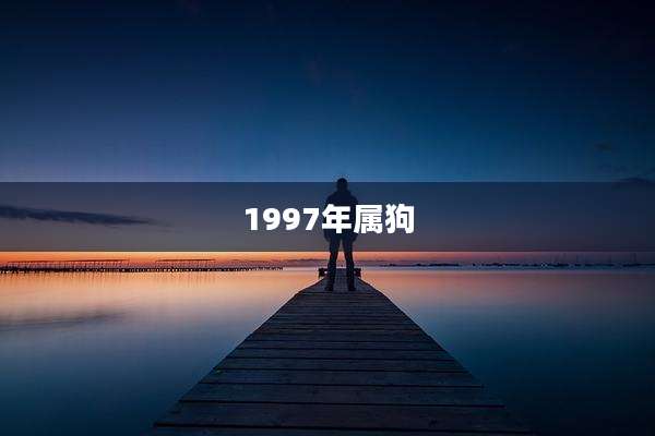 1997年属狗