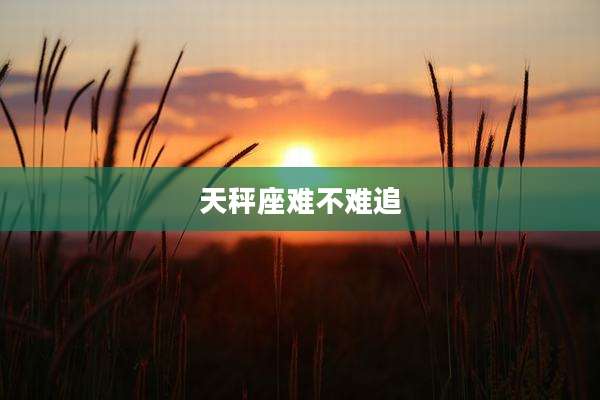 天秤座难不难追