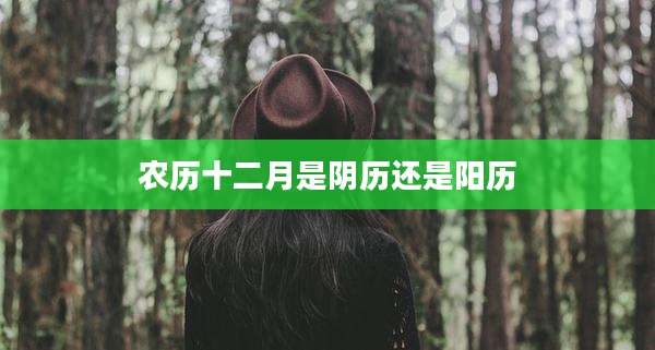 农历十二月是阴历还是阳历