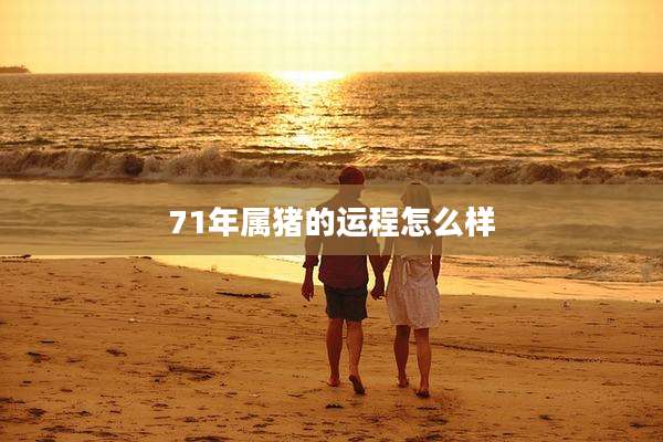 71年属猪的运程怎么样