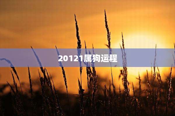 20121属狗运程