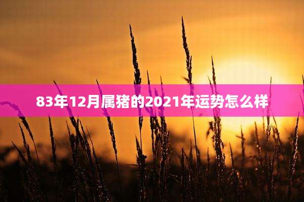 83年12月属猪的2021年运势怎么样