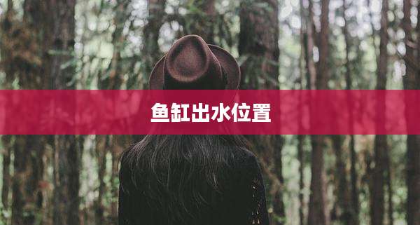 鱼缸出水位置