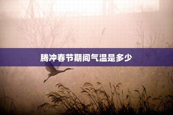 腾冲春节期间气温是多少