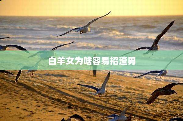 白羊女为啥容易招渣男
