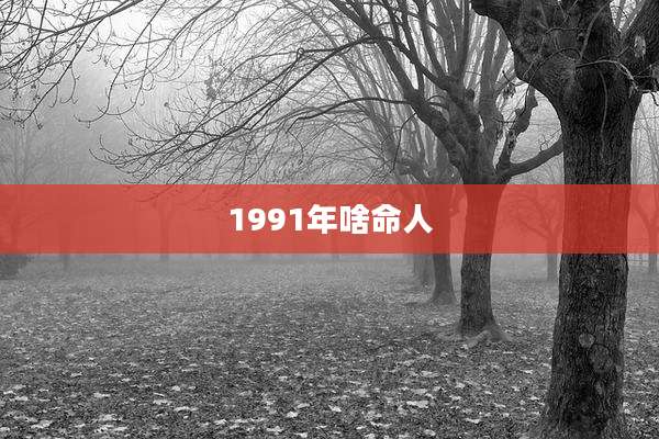 1991年啥命人