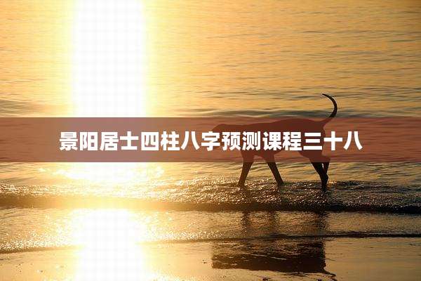 景阳居士四柱八字预测课程三十八