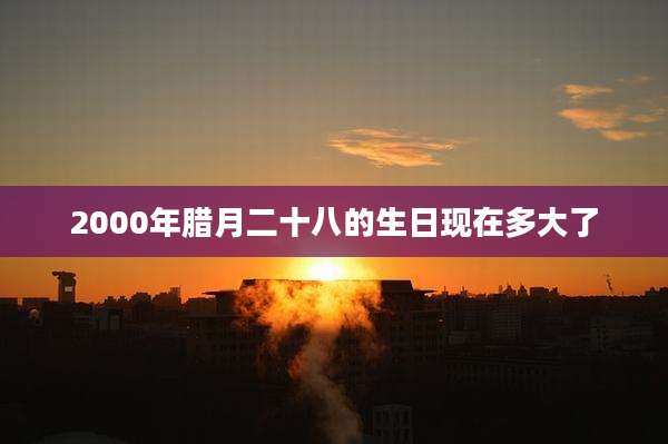 2000年腊月二十八的生日现在多大了