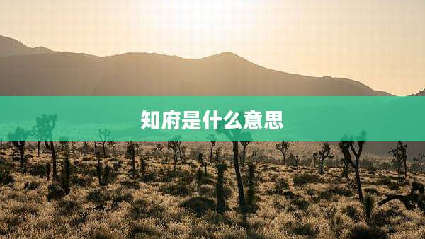 知府是什么意思